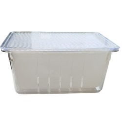 ref_31203_DF060.61$3