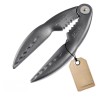 ref_25175_CUI303$1